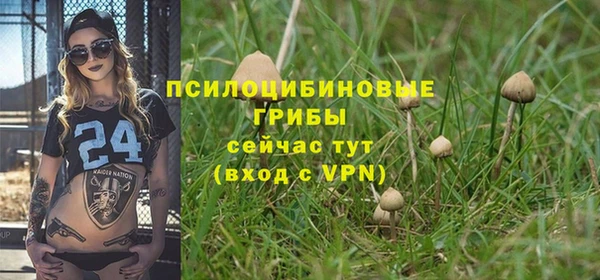 шишки Навашино