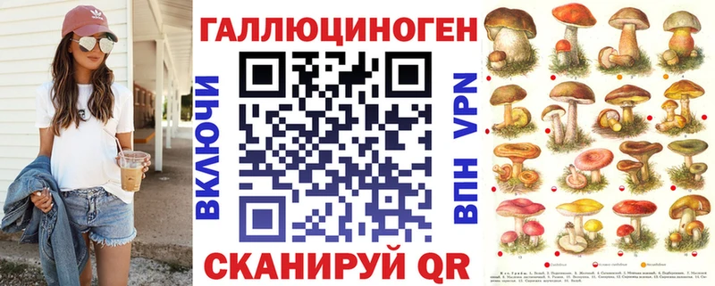 дарк нет телеграм  Тамбов  Псилоцибиновые грибы Magic Shrooms 