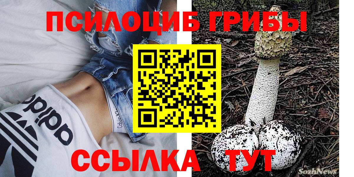 Тамбов  Псилоцибиновые грибы Magic Shrooms  Вход с VPN  Галлюциногенные грибы Magic Shrooms 