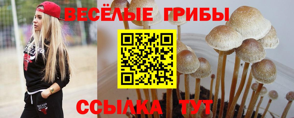 Галлюциногенные грибы GOLDEN TEACHER Тамбов